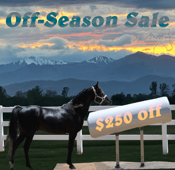 $250 off an SMS Breeding Phantom during our off-season sale