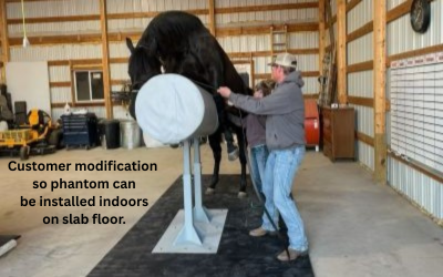 A large black stallion mounting a gray SMS breeding phantom installed indoors on a concrete slab floor with heavy-duty baseplate modifications.
